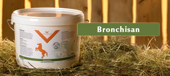 Bronchisan