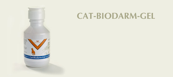 Cat_Biodarm_Gel