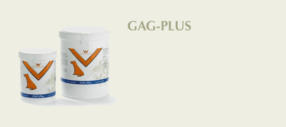 GAG-Plus