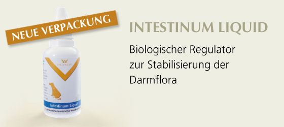 Intestinum_Liquid
