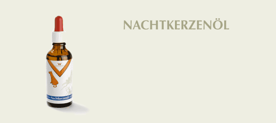 Nachtkerzenoel