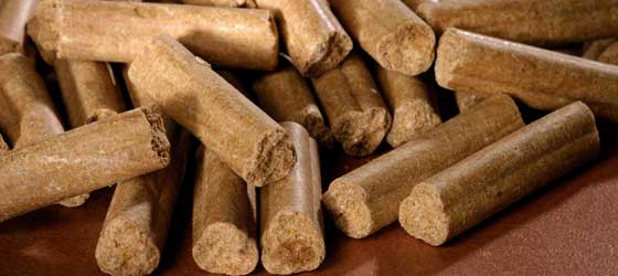 Straussensticks