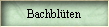 Bachblten