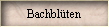 Bachblten