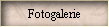 Fotogalerie