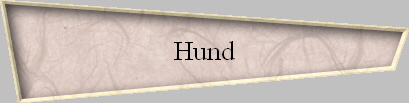 Hund