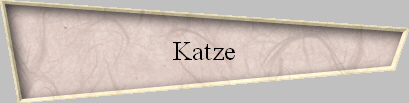Katze