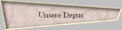 Unsere Degus
