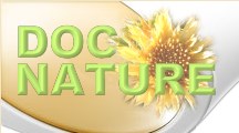 doc-nature-grafik_top_left_216x120